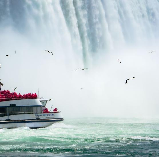 Gray Line Niagara Falls Canada/USA